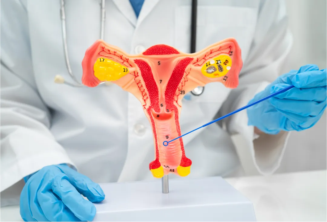 HPV ve Rahim Ağzı İşlemleri Sonrası Pelvik Taban Fonksiyon Bozuklukları
