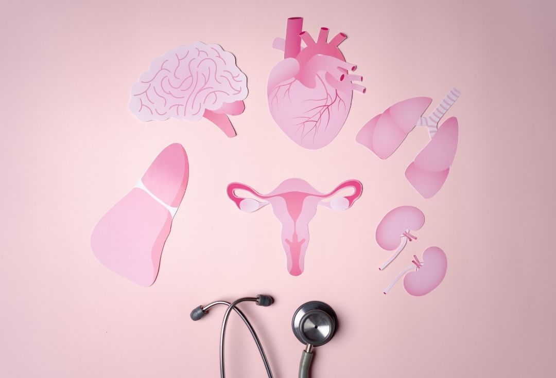 PCOS'un Adı Değişti - PMOS: Poliendokrin Metabolik Over Sendromu